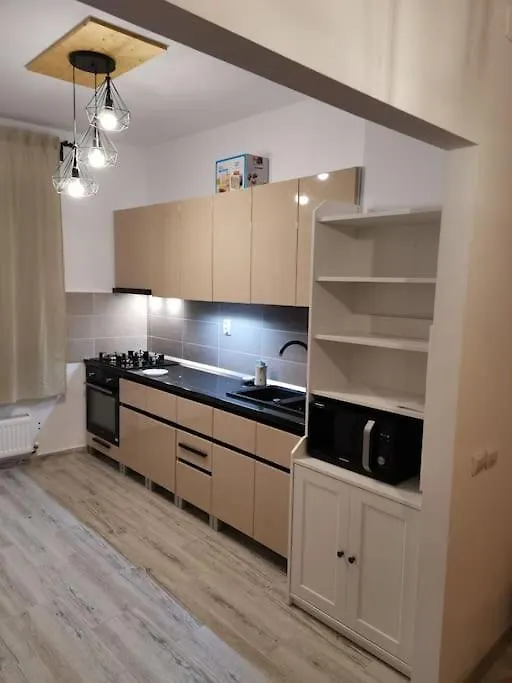 הוילה בוקרשט Big House In North With Ping-Pong Table וילה